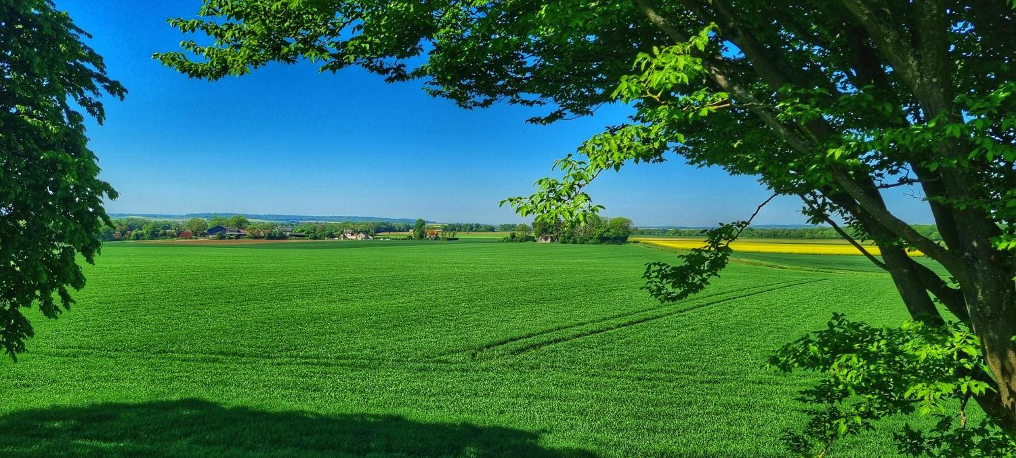 Gite Du Grand Frene Orrouy المظهر الخارجي الصورة